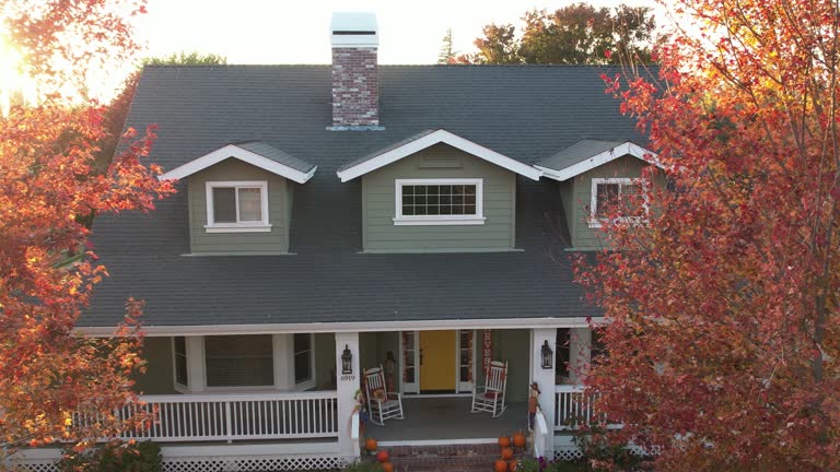 Best Chimney Flashing Repair  in Mill Creek East, WA